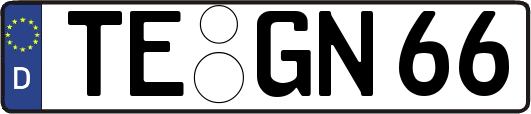 TE-GN66