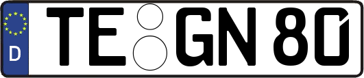 TE-GN80