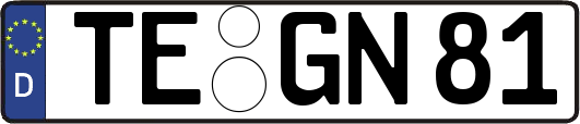 TE-GN81