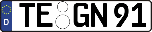 TE-GN91