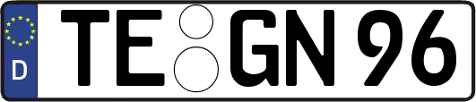 TE-GN96