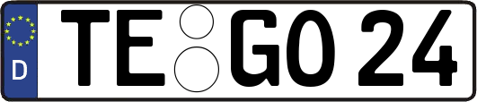 TE-GO24