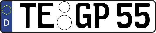 TE-GP55