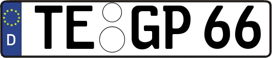 TE-GP66