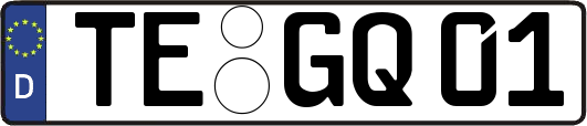 TE-GQ01