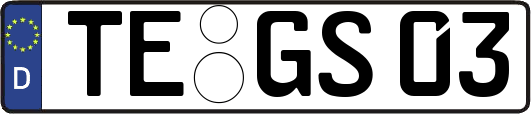 TE-GS03