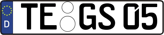 TE-GS05
