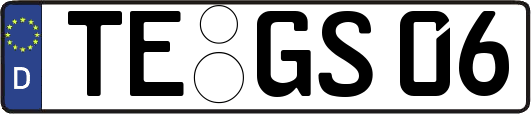TE-GS06