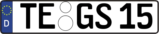 TE-GS15