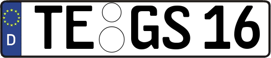 TE-GS16