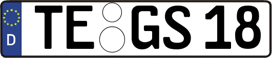 TE-GS18