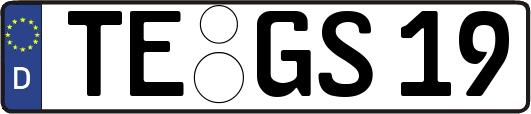 TE-GS19
