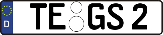 TE-GS2