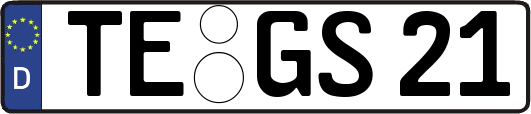 TE-GS21