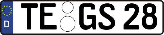 TE-GS28