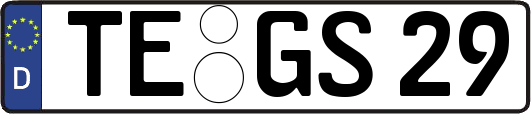 TE-GS29