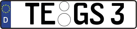 TE-GS3