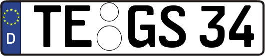TE-GS34