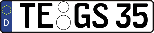 TE-GS35