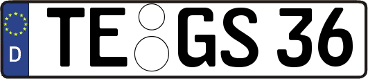 TE-GS36