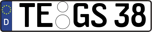 TE-GS38