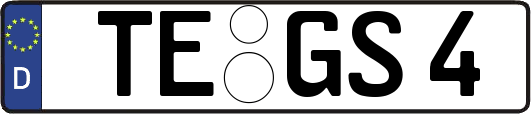 TE-GS4