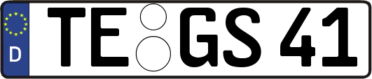 TE-GS41