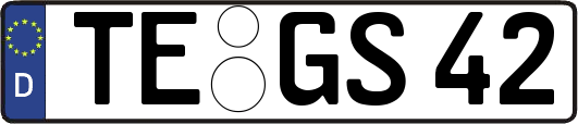 TE-GS42