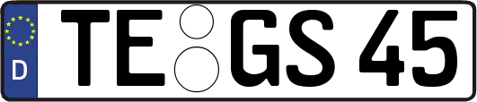 TE-GS45