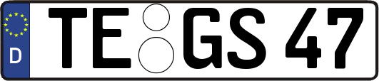 TE-GS47