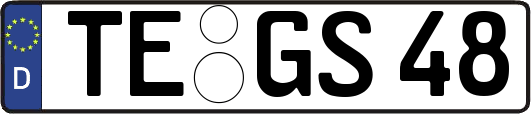 TE-GS48
