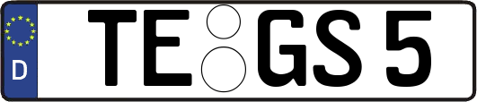TE-GS5