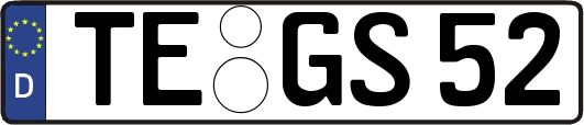 TE-GS52