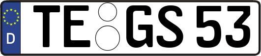 TE-GS53