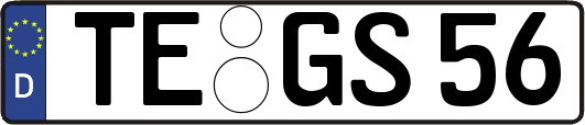 TE-GS56