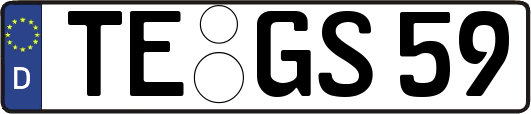 TE-GS59