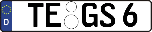 TE-GS6