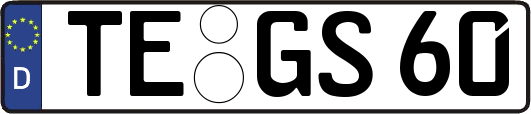 TE-GS60