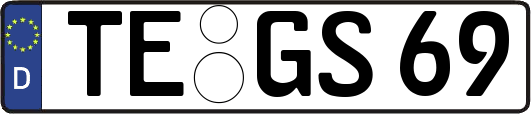 TE-GS69