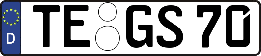 TE-GS70