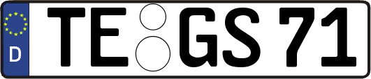 TE-GS71