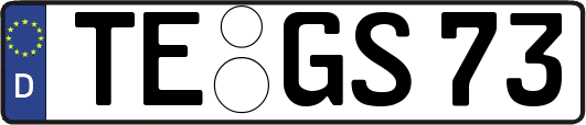 TE-GS73