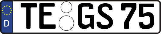 TE-GS75