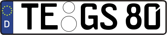 TE-GS80