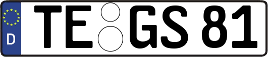 TE-GS81