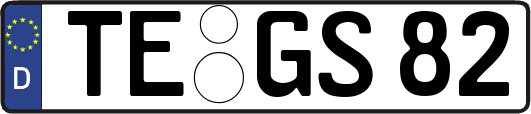 TE-GS82