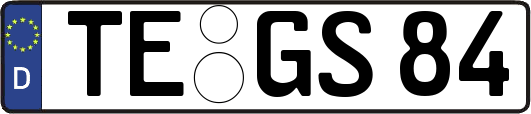 TE-GS84
