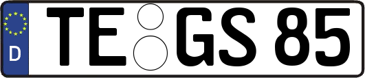 TE-GS85