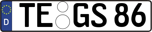 TE-GS86
