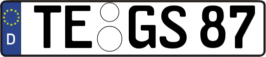 TE-GS87